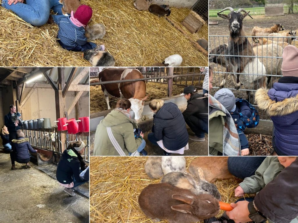 Eine Collage mit Kindern bei Ziegen, Kühen und Hasen