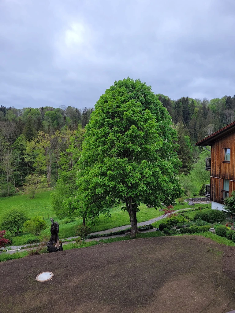 Eine Hausecke , eingebunden in die wunderschöne Landschaft und ein Baum