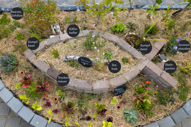 Das neue Beet mit dem Fisch-Symbol aus Steinen Ebenfalls sind die verschiedenen Lebensbereiche benannt.