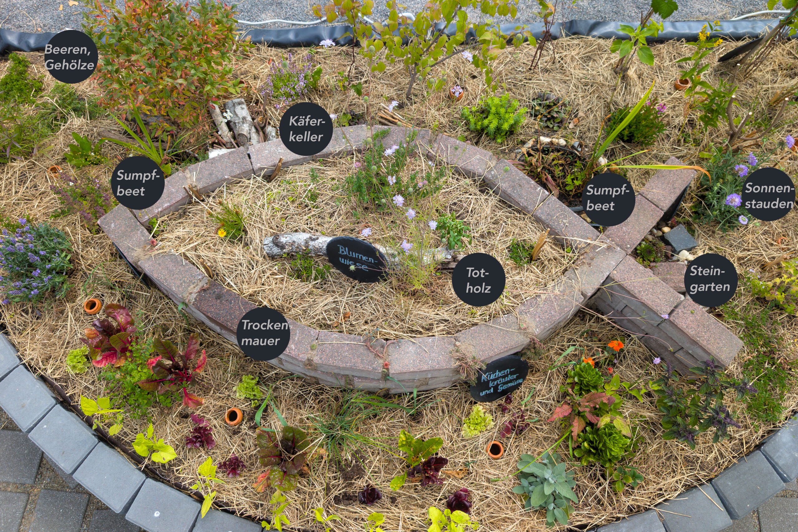 Wo Glaube blüht und Bienen summen